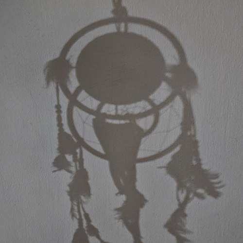 Photo #13458815