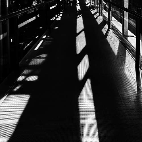 Photo #13458855