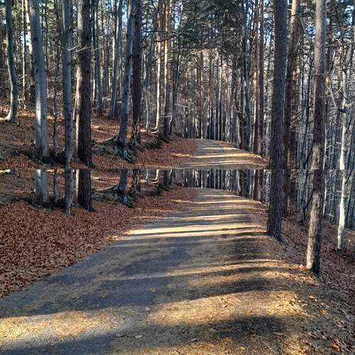 ....shadows of....autumn....