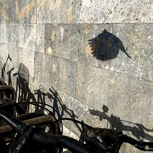 Photo #13458895