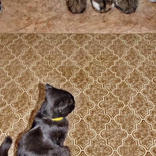 Photo #13458922