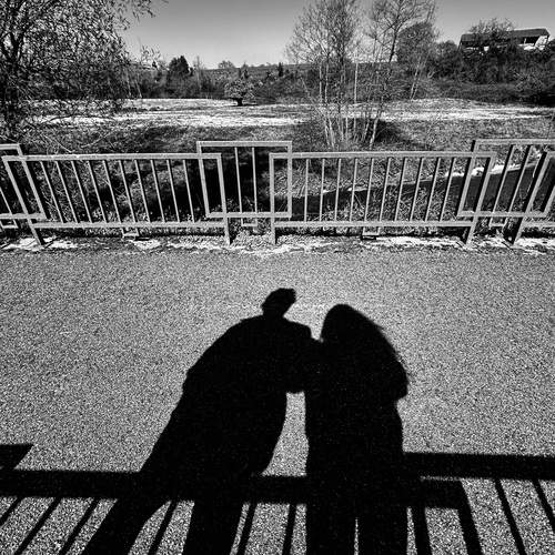 Photo #13458935