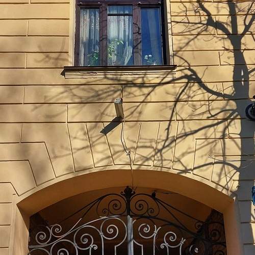 Photo #13458991