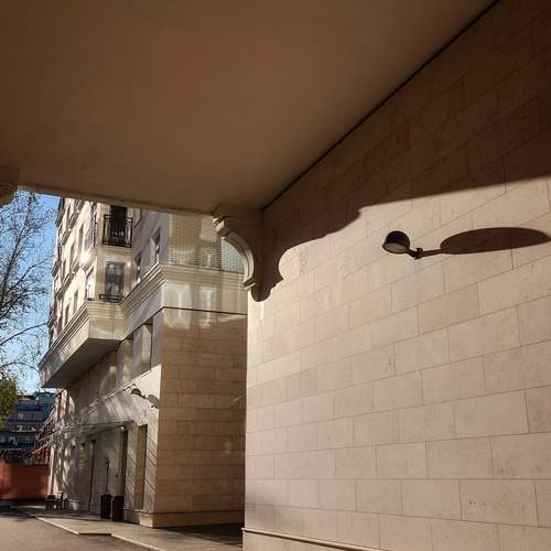 Photo #13458993