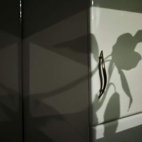 Ночные тени