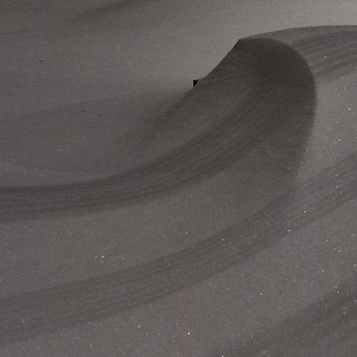 Photo #13459010