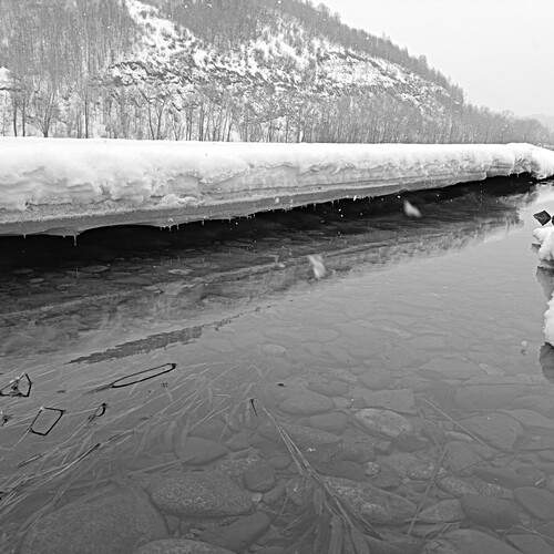 Фотография #13459086