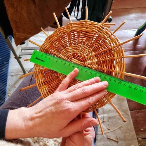Photo #13459356
