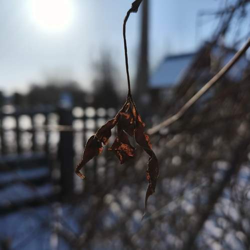 Photo #13459404