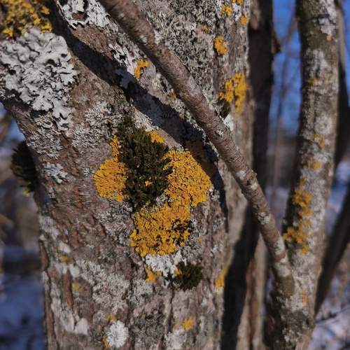 Photo #13459405