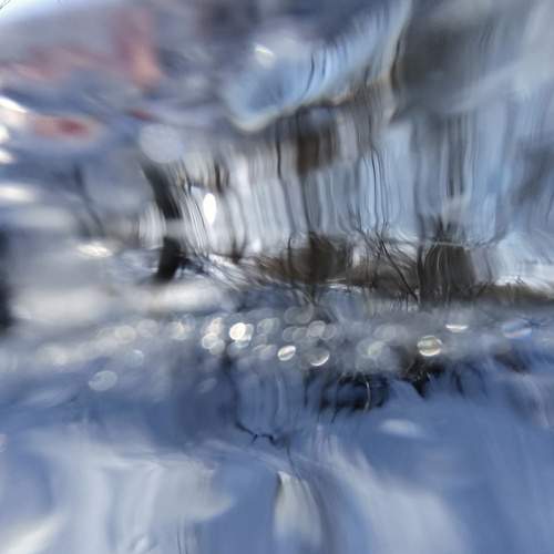 Photo #13459406