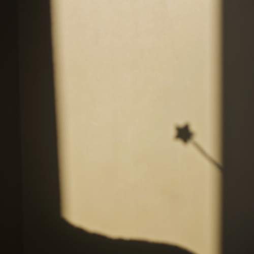 Photo #13459482