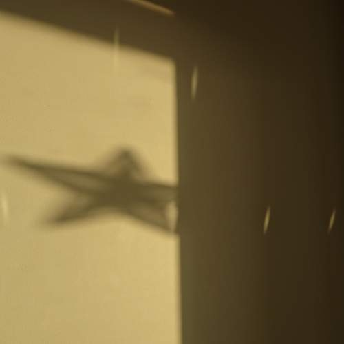 Photo #13459500