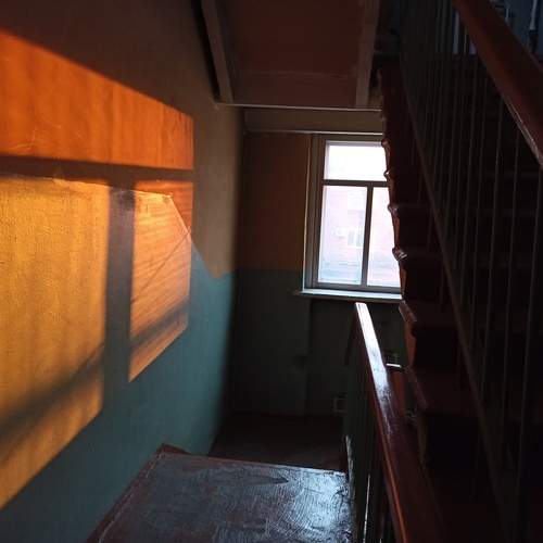 Photo #13459554