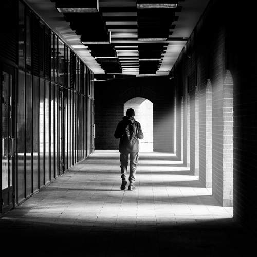 Photo #13459650