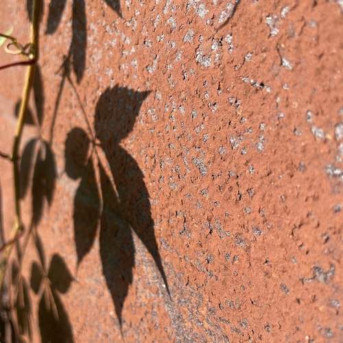 Photo #13459742