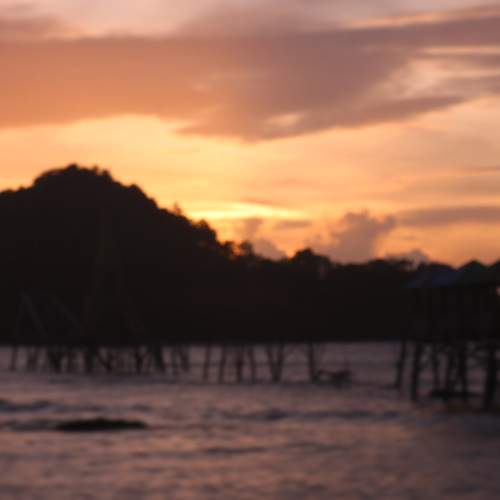 Photo #13460084