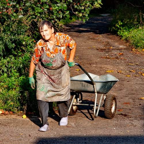 Photo #13460134
