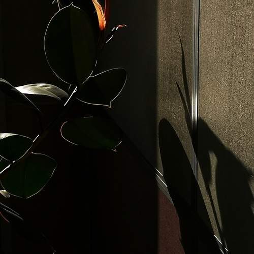 Photo #13460168