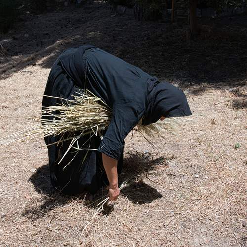 Photo #13460453