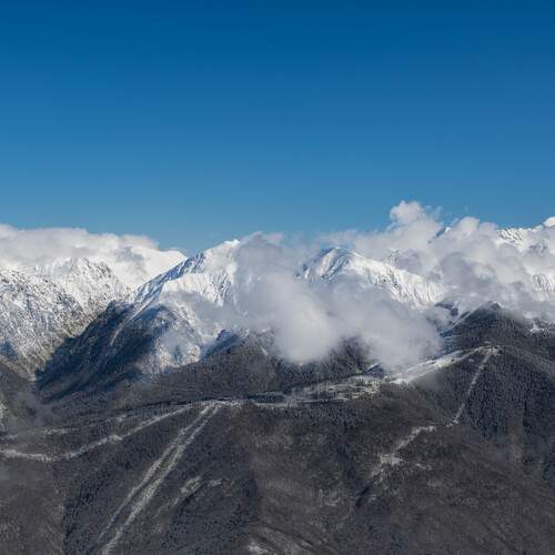 Photo #13460473