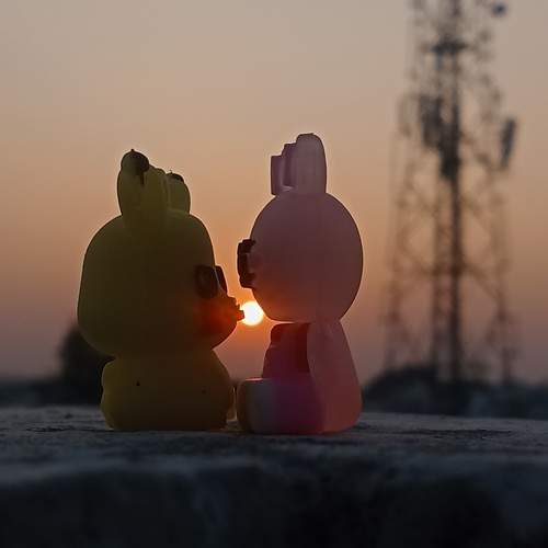 Photo #13460497