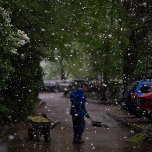 Photo #13460791