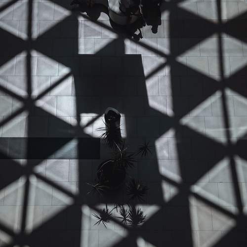Photo #13460835