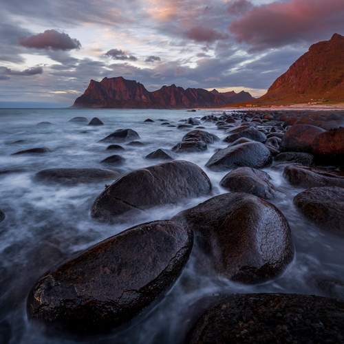Photo #13460971