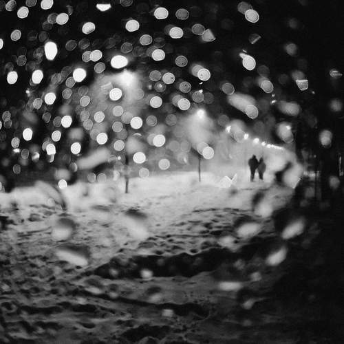 Photo #13461174