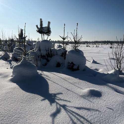 Photo #13461178