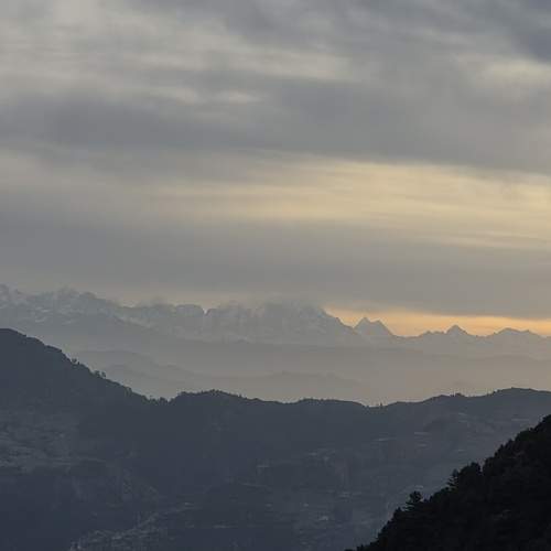 Photo #13461346
