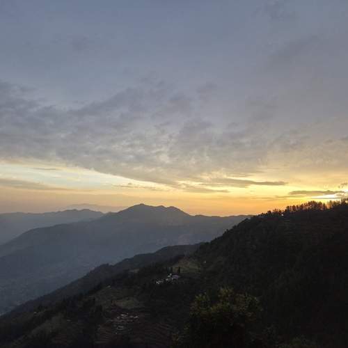 Photo #13461348
