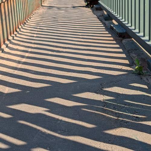 Photo #13461518