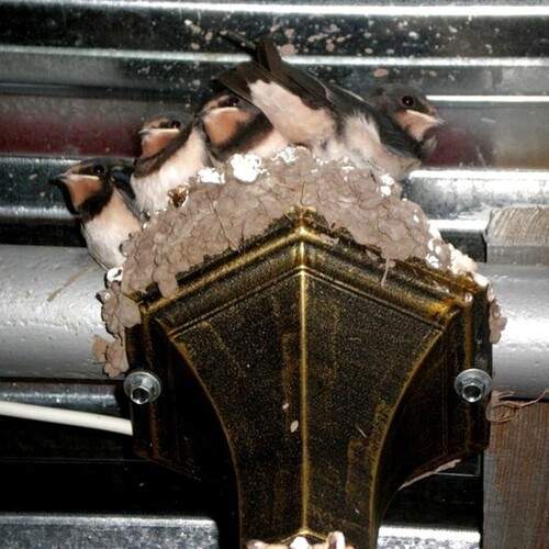 Photo #13461802