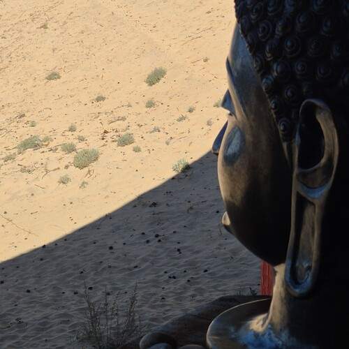 Photo #13461807