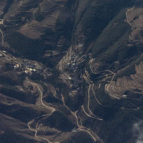 Photo #13461841