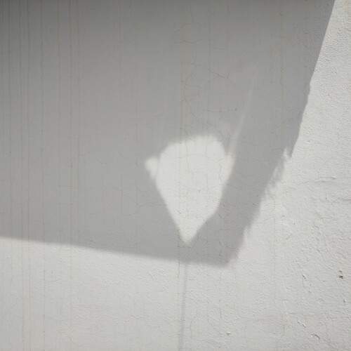 Photo #13461892