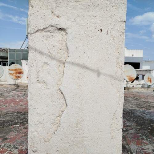 Photo #13461894