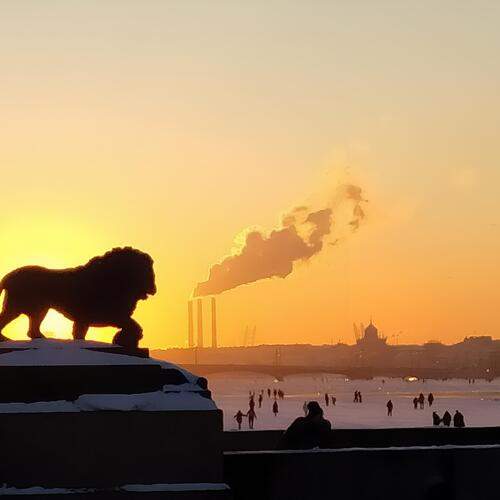 Photo #13461956