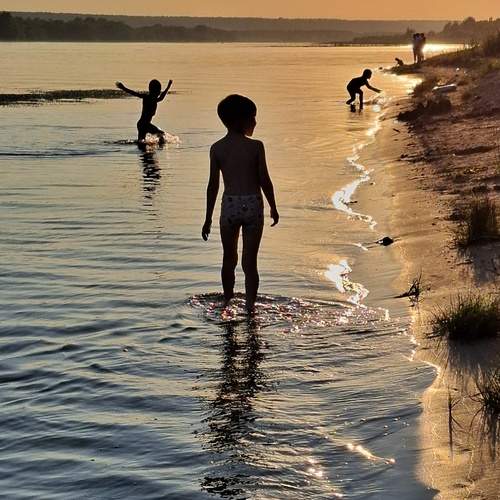 Photo #13462002