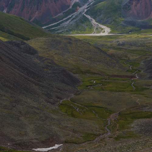 Photo #13462056