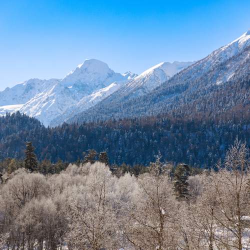Photo #13462058