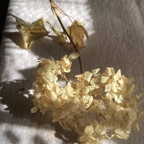 Photo #13462097