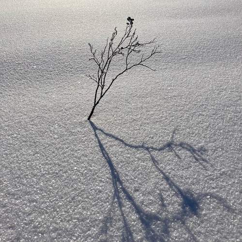 Photo #13462100