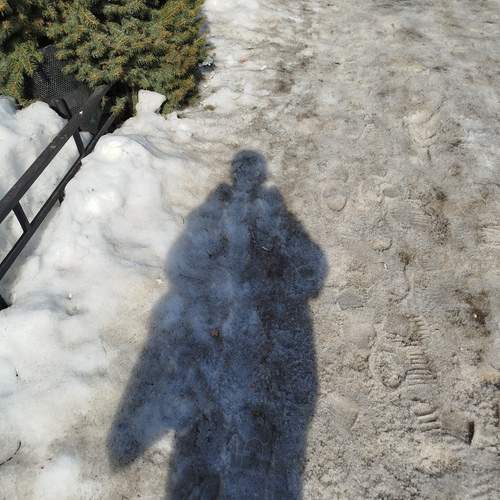 Photo #13462376