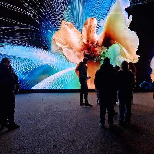 Photo #13462409