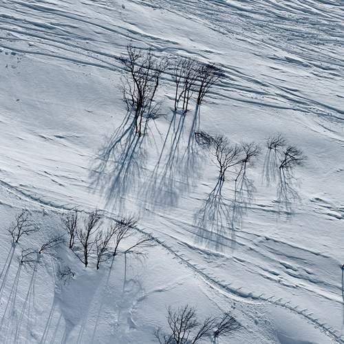 Photo #13462575
