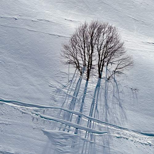 Photo #13462576