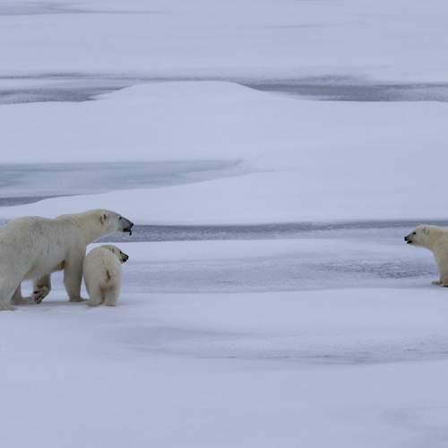 Photo #13463114